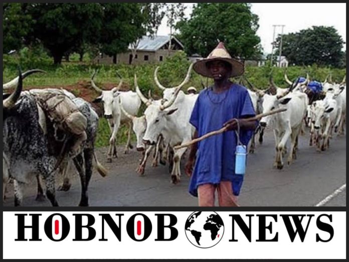 Fulani Group Says They Lost 350 Members, 834 Cattle In 3 Months To Plateau Killings