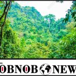 Bandits Raping Wives Of My Subjects -- Abuja-Kaduna Highway Monarch