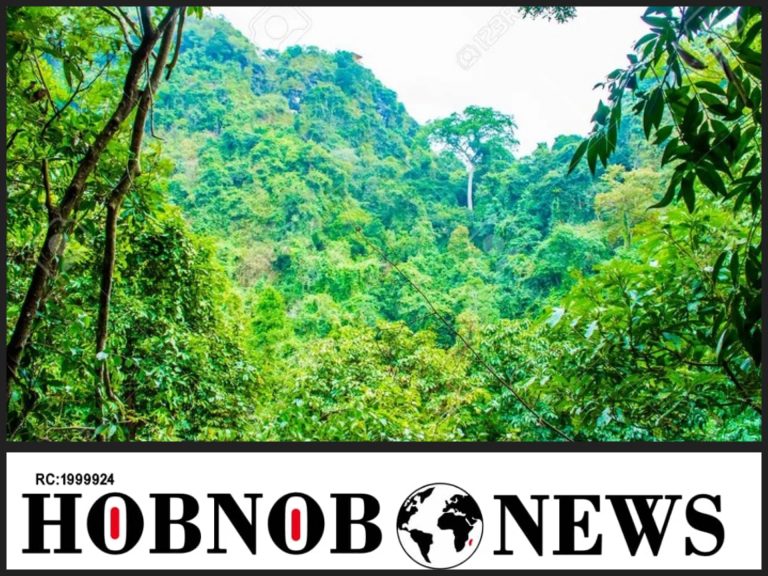 Bandits Raping Wives Of My Subjects -- Abuja-Kaduna Highway Monarch