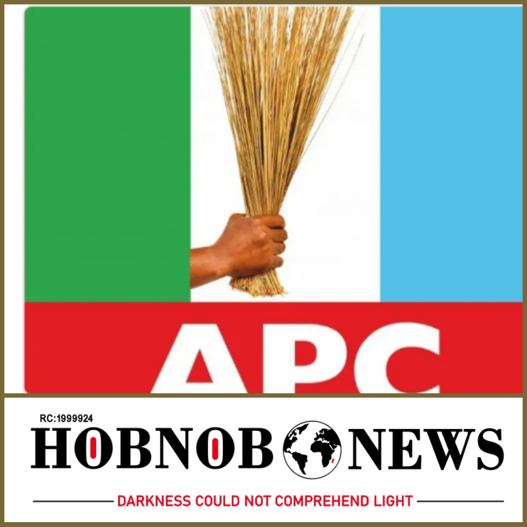 Mr. David Tanko of APC Wins Chikun Constituency Seat in Kaduna State House of Assembly