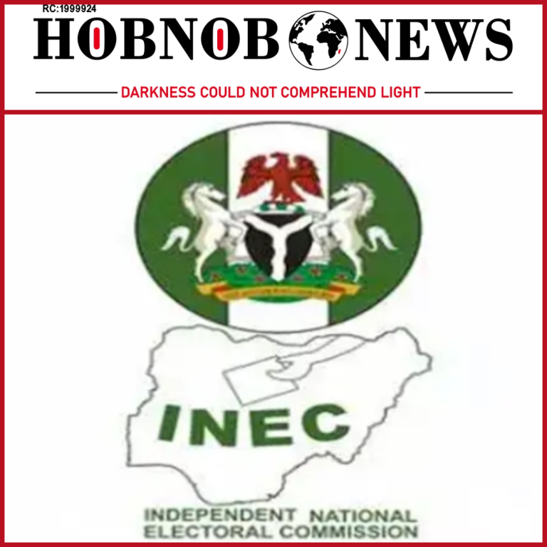 INEC Suspends Electoral Officer Over Missing Ballot Papers in Jos North Rerun Election