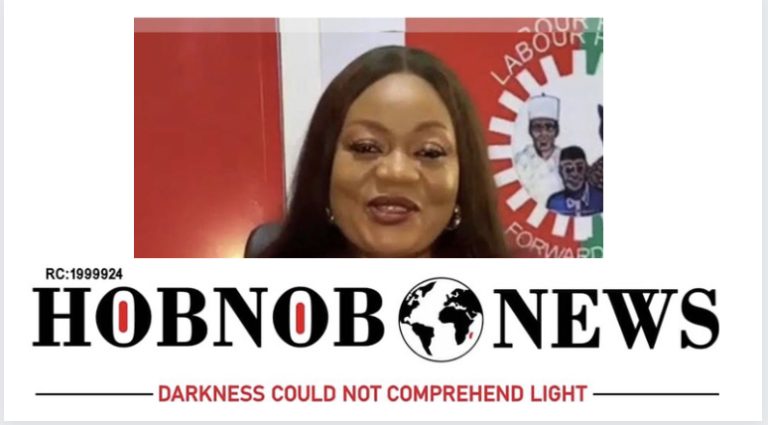 Labour Party sets up disciplinary committee against its National Treasurer, Oluchi Opara, for bringing the party to disrepute and misinforming the general public on party’s internal affairs