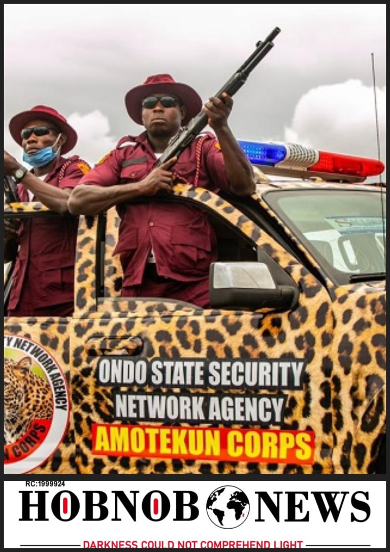 UK Air Force Officer, Falegan Offers To Train Amotekun Operatives Free