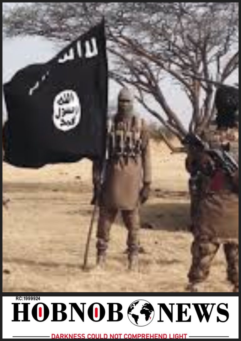 ISWAP Fighters Open Fire On Borno Police Station, Kill Officers