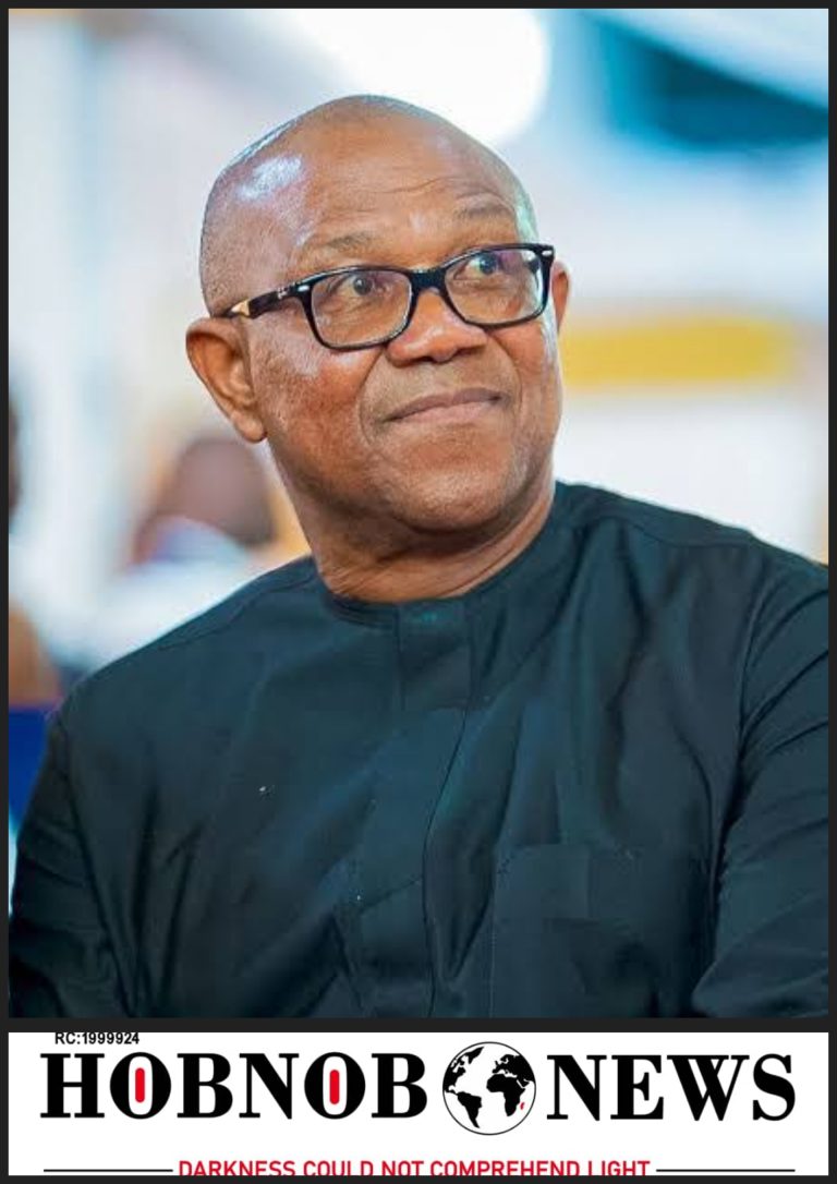 It Is Unacceptable For Hundreds Of Innocent Lives To Be Wasted In Their Own Country — Peter Obi