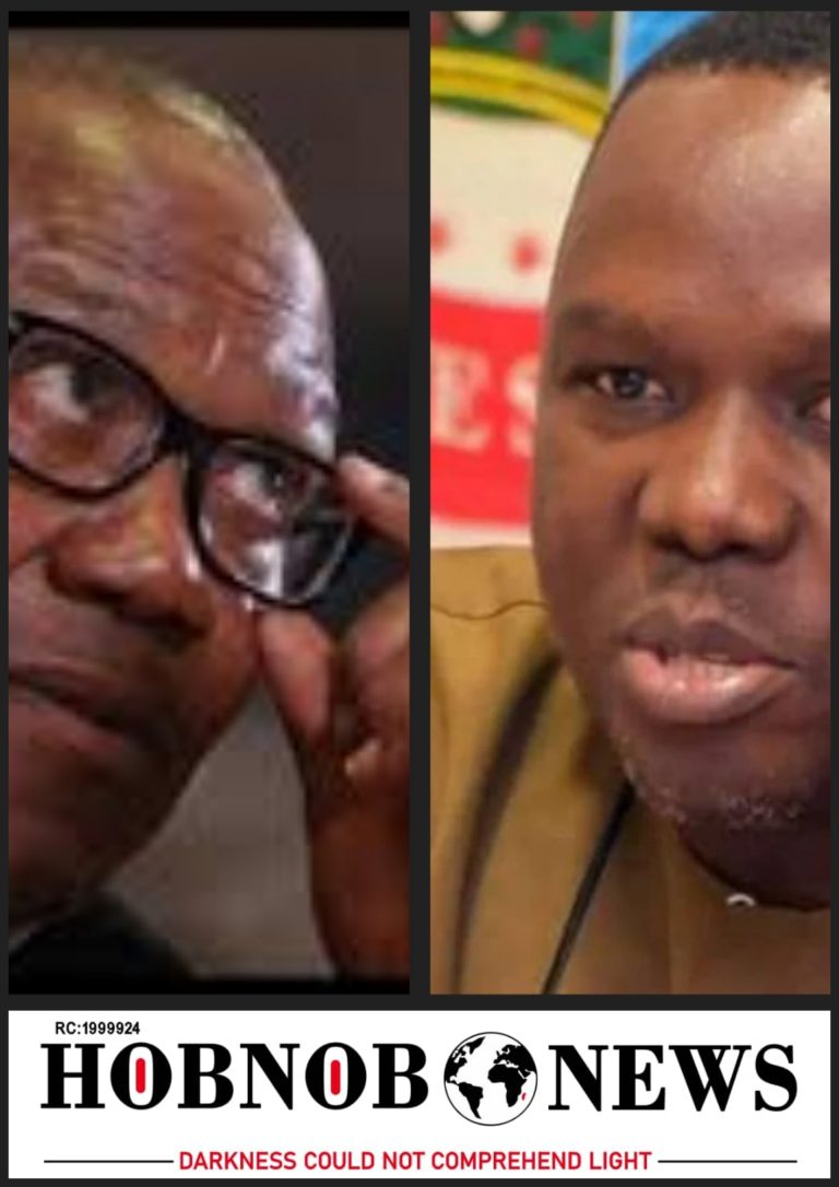 Peter Obi Takes Advantage Of The Vulnerabilities Of The Nation Like Natural Disasters And Sports For Opportunism — Daniel Bwala