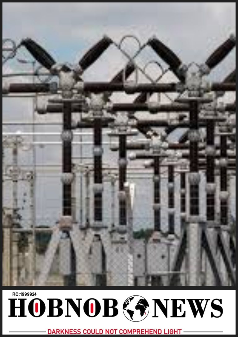 Minister Of Power Assures Nigerians On Relief Over Power Outage