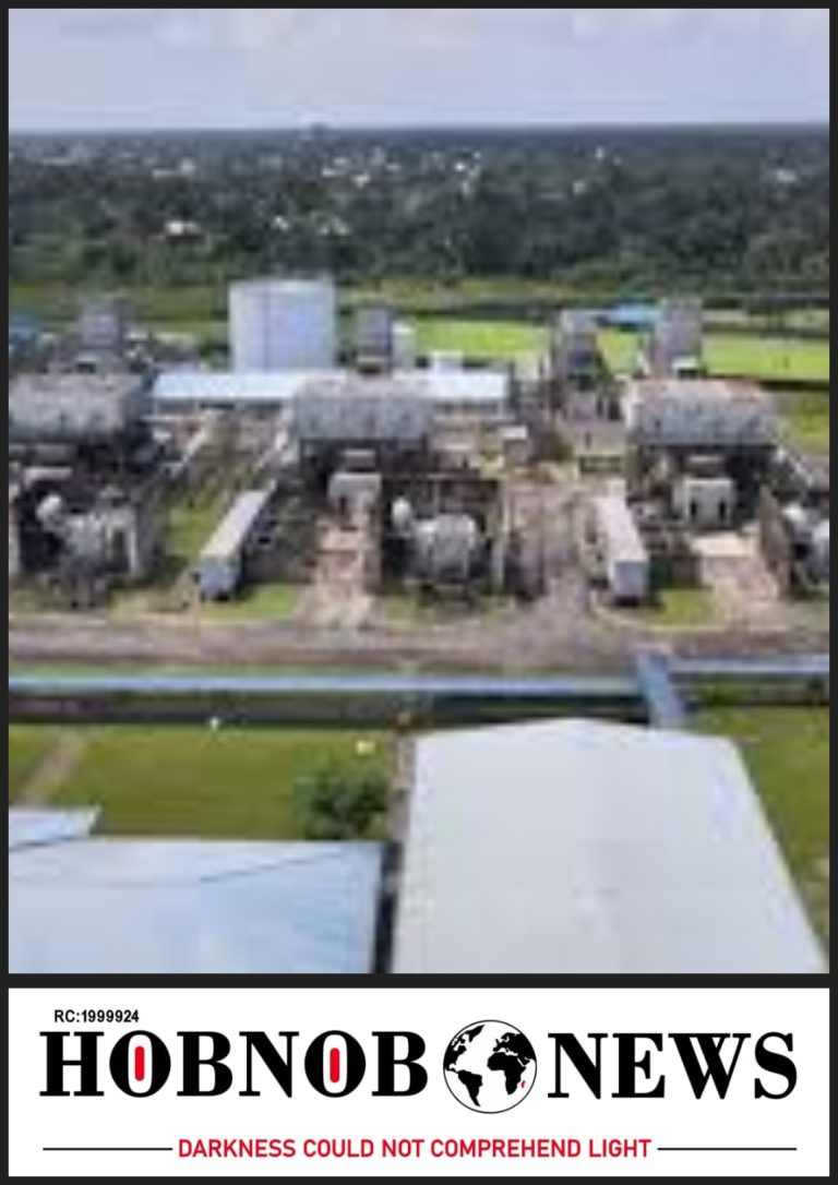 This Is What We Want — Minister Of Power Reacts To Abia Geometric Plant