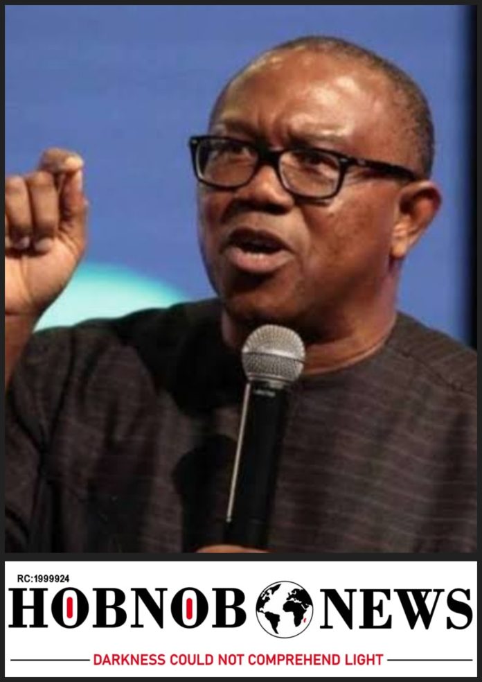 Why Ukraine’s Grain Donation To Nigeria Is A National Disgrace – Peter Obi