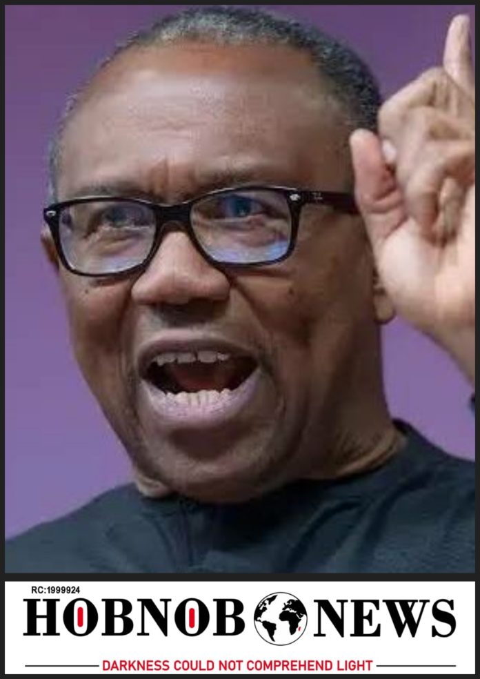 I'm more passionate about building a new Nigeria than building the Labour Party -- Peter Obi
