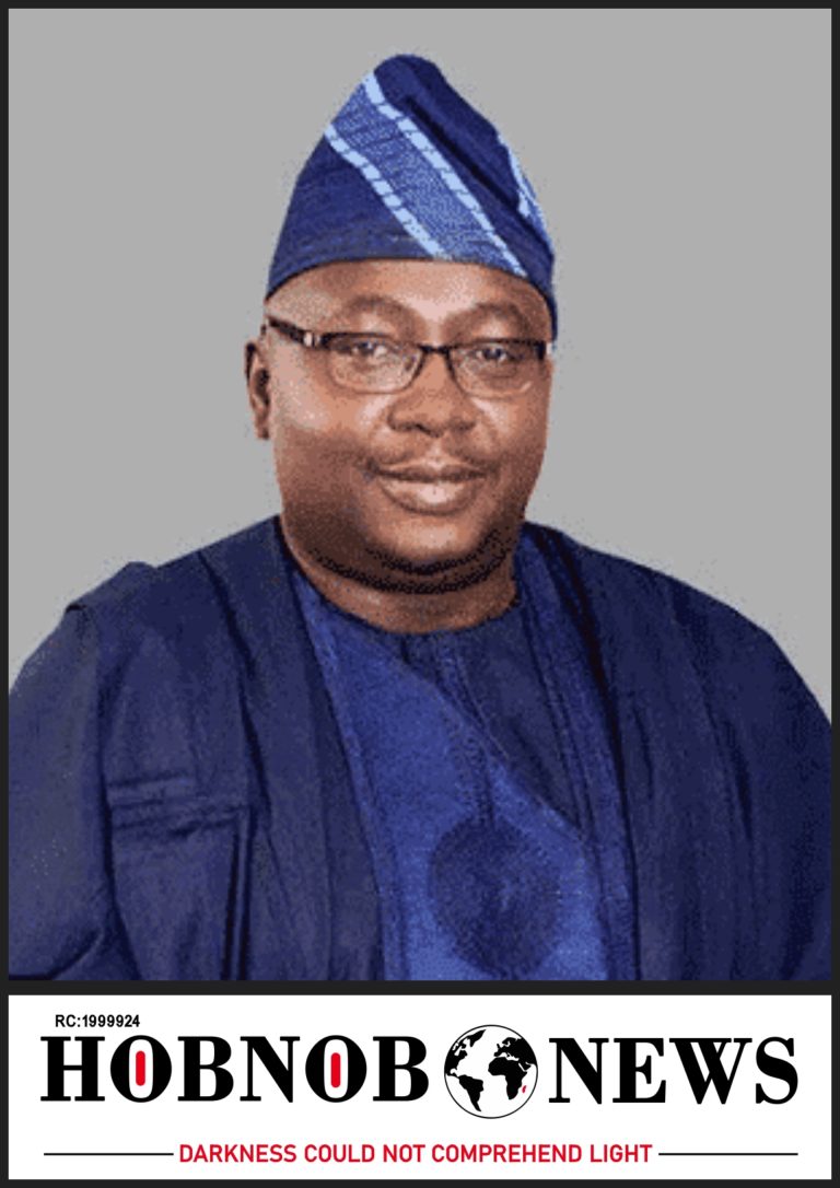 Nigerians Keep Air Conditioners and Freezers On Despite Inactivity Due to Cheap Electricity — Minister of Power, Adelabu