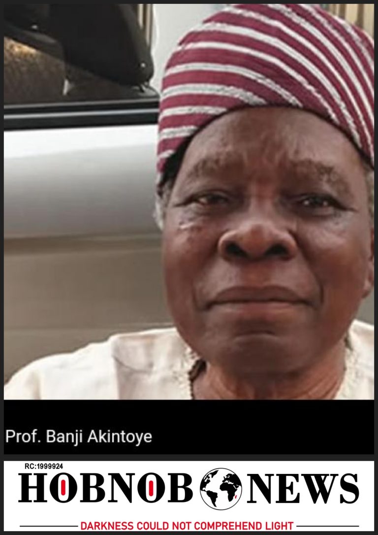 Yoruba Nation Seeks Peaceful Exit from Nigeria, Urges President Tinubu to Negotiate