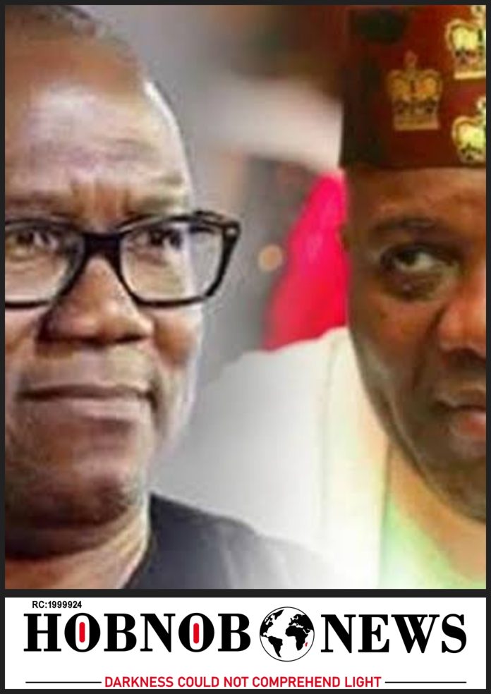 Peter Obi Did Not Believe in Labour Party Ideologies – Doyin Okupe