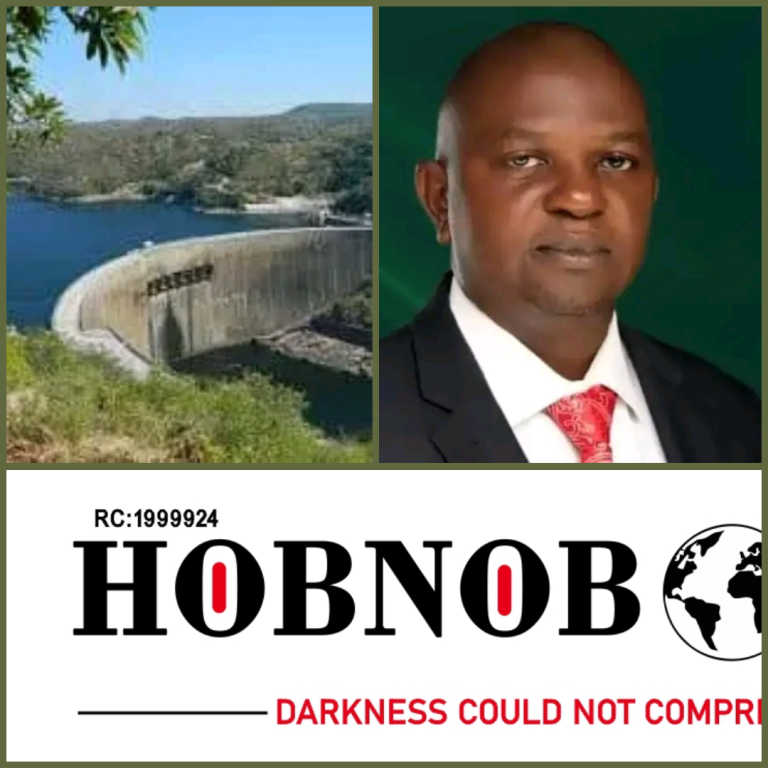 Flood: 408 Storage Dams Completed Across Nigeria, Prof Utsev