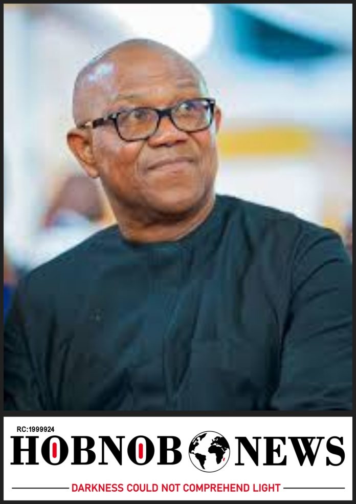 Coastal Highway Project Not a Priority -- Peter Obi