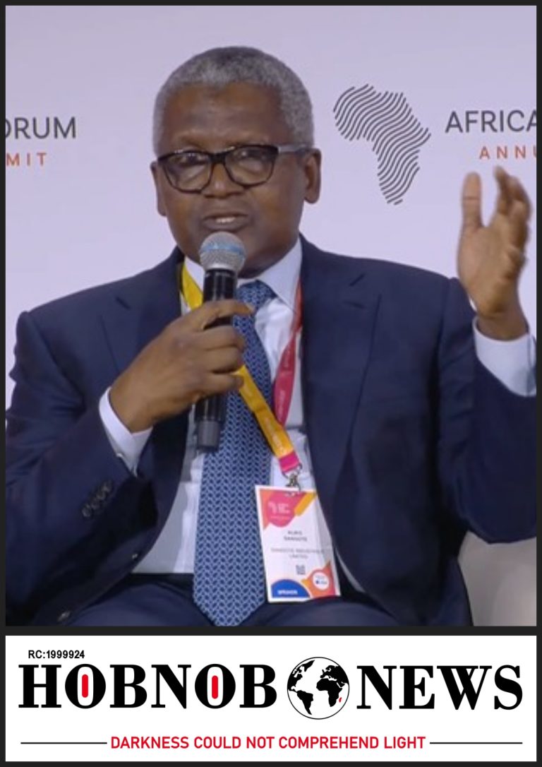 I Require 35 Visas to Travel in Africa, Unlike French Investors -- Dangote