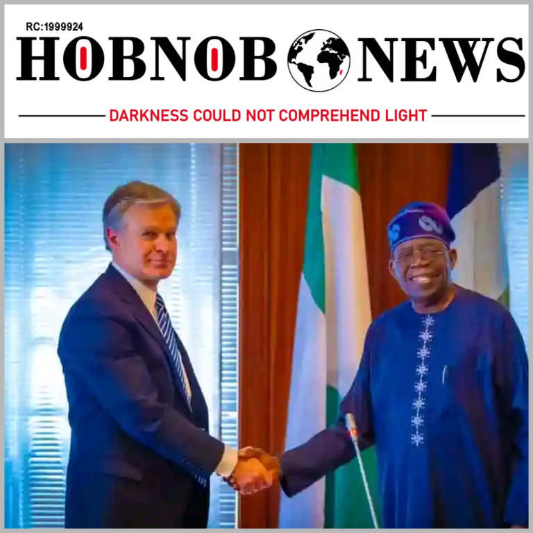 President Tinubu Meets FBI Boss, Seeks Stronger Alliance Against Cybercrime, Terrorism