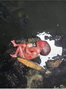 Graphic Photos: Newborn Baby Found Dead in Port Harcourt Manhole