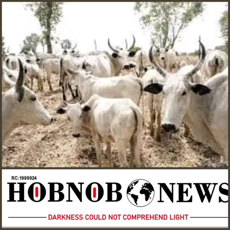 Tinubu Creates Ministry Of Livestock Development