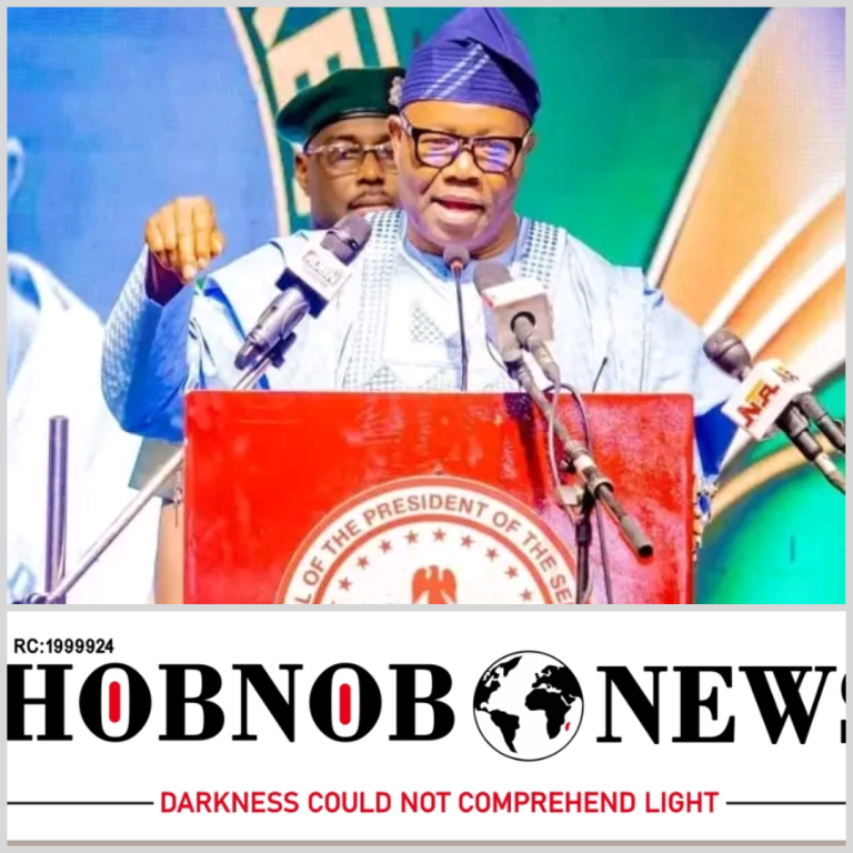 Senate Moves to Establish Local Government Electoral Commission