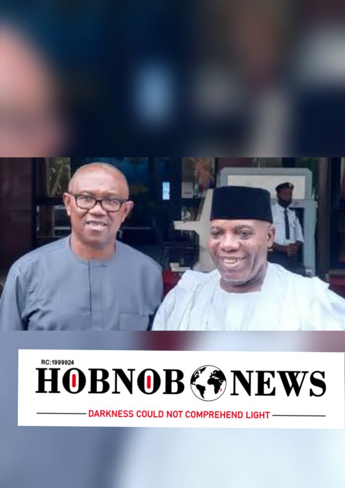 Peter Obi, Labour Party Also Rigged Like APC, PDP in 2023 -- Former LP DG, Okupe