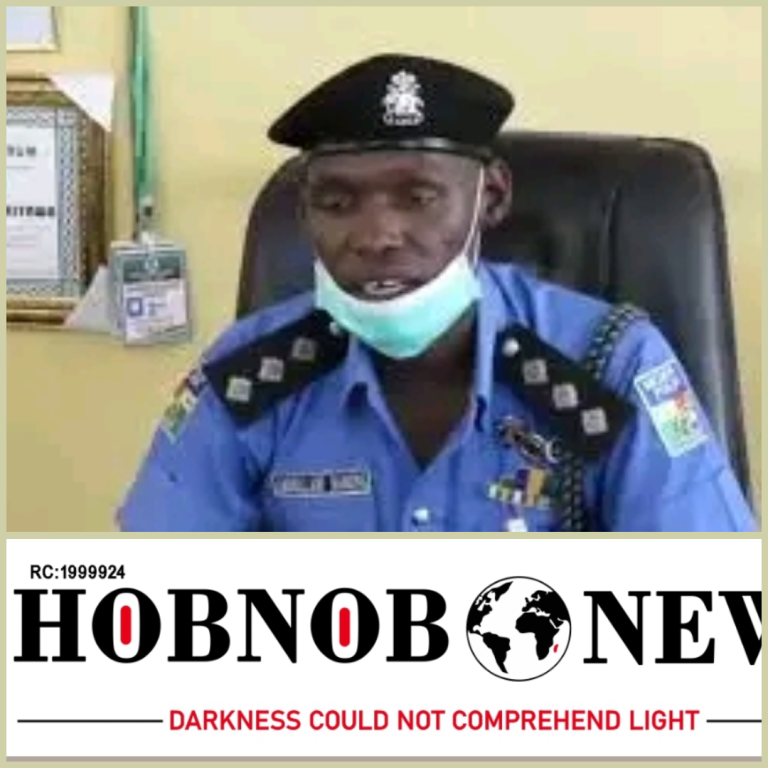 Kano Police Arrest 260 Suspects for Looting, Violence During Nationwide Strike
