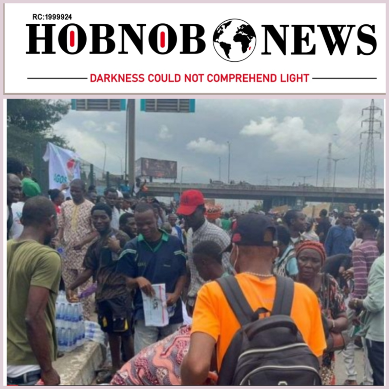 Abuja Protesters Outsmart Police Blockade on Final Day of Demonstrations