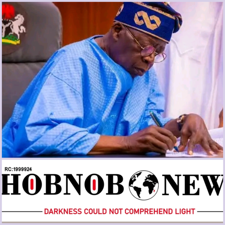 PRESIDENT TINUBU APPOINTS NEW HEADS FOR NATIONAL INTELLIGENCE AGENCY AND DEPARTMENT OF STATE SERVICE