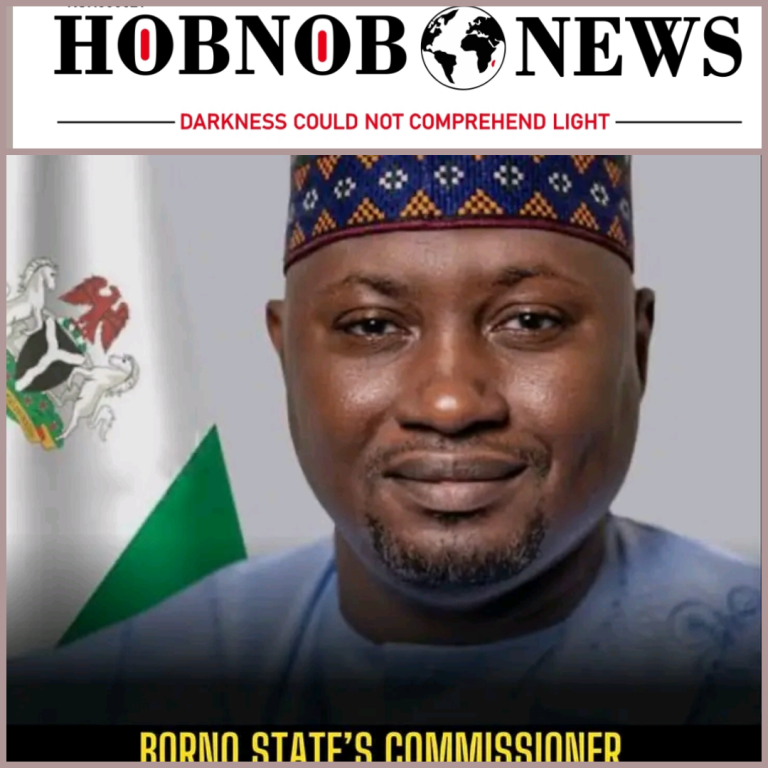 BORNO STATE COMMISSIONER FOR FINANCE FOUND DEAD IN HIS ROOM