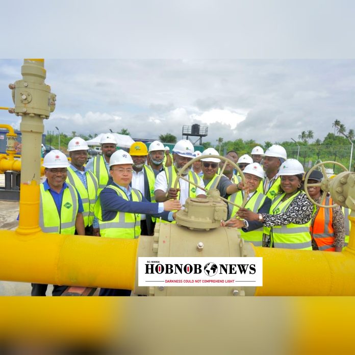 NIPCO, NGML Partner to Slash Energy Costs for Industries with Lekki Gas Project