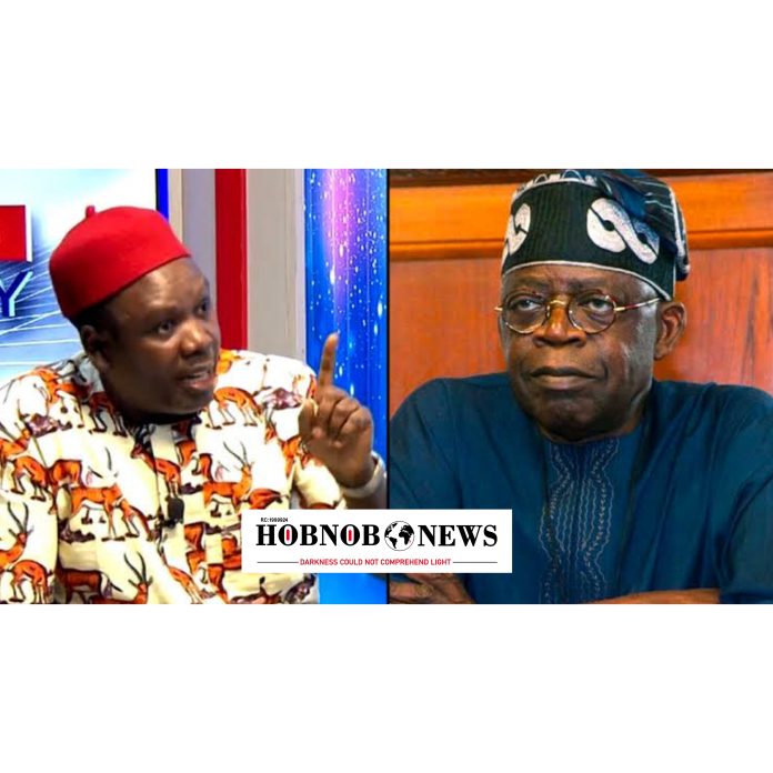 Some Government Agents Don't Believe in Tinubu's Leadership - Daniel Bwala