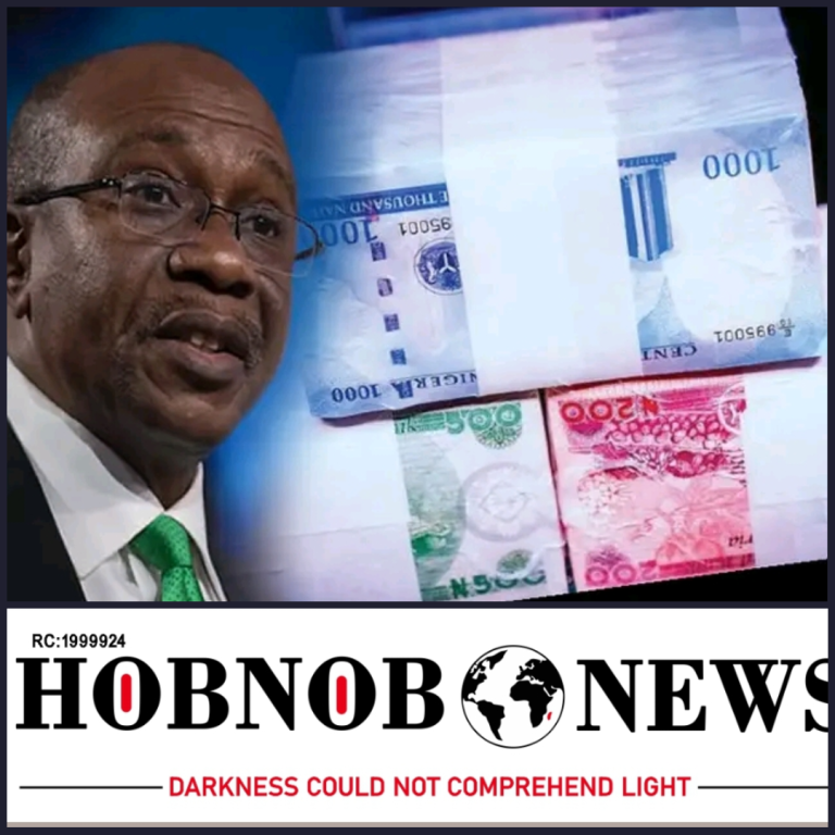 Naira Redesign Controversy: Former CBN Governor Implicates Politics and Intrigue