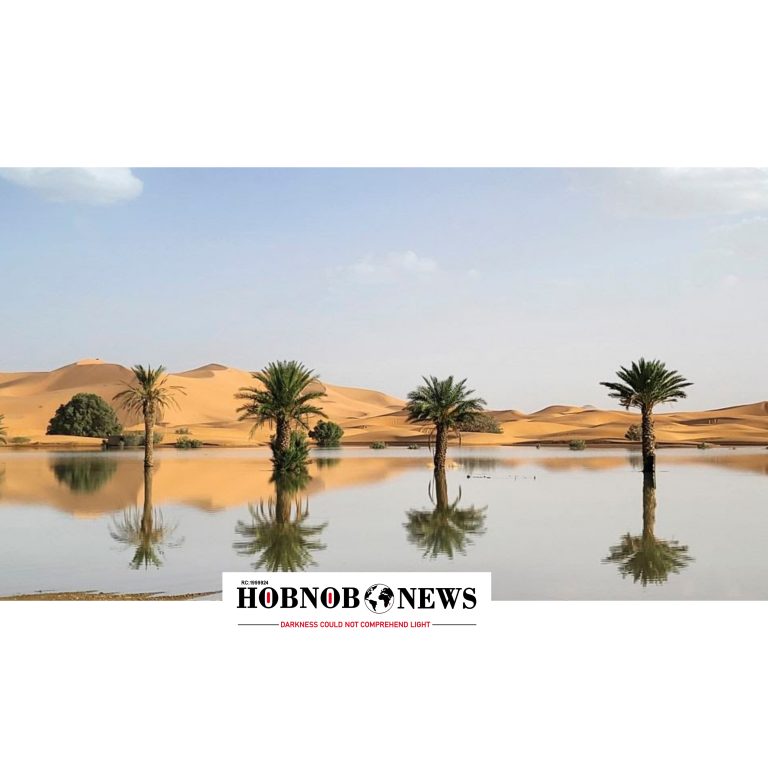Photos: Sahara Desert Hit by Floods for First Time in Decades After Torrential Rains