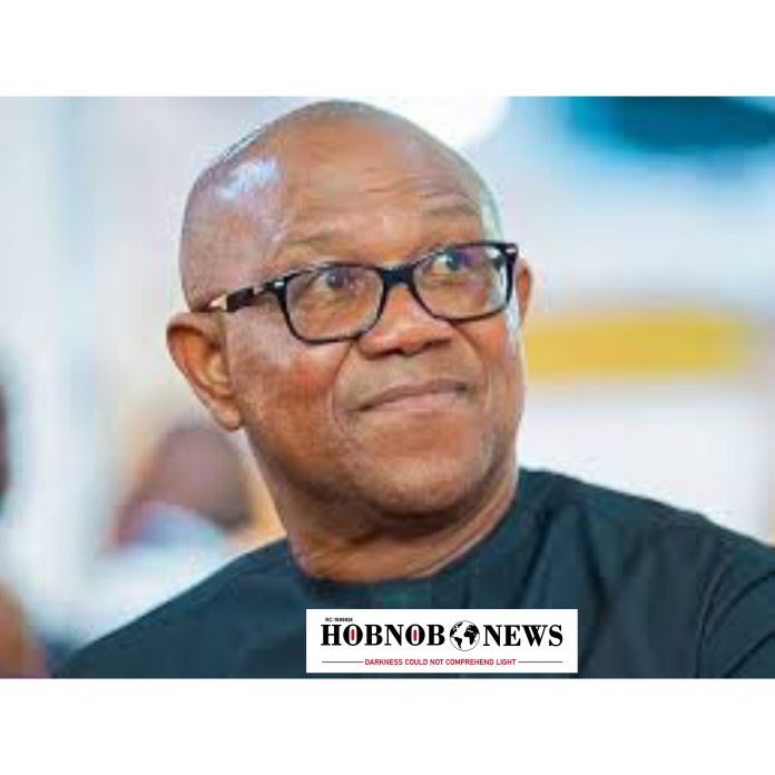 Ex-British Diplomat Blasts Peter Obi for Describing Supersport Killers as 'Non-State Actors'