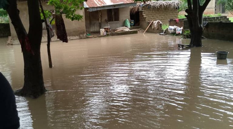 Flood affects over 770 households in Benue