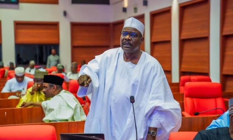 Nigerians Have Lost Confidence in Lawmakers, Says Senator Ndume