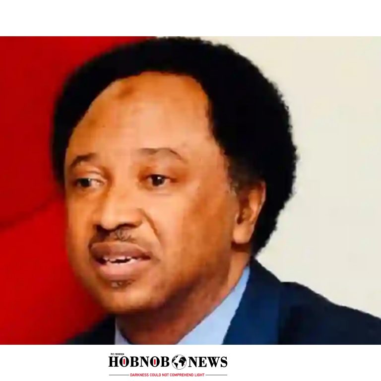"Shehu Sani Warns Against Social Media Misuse, Cautions on Legal Risks"