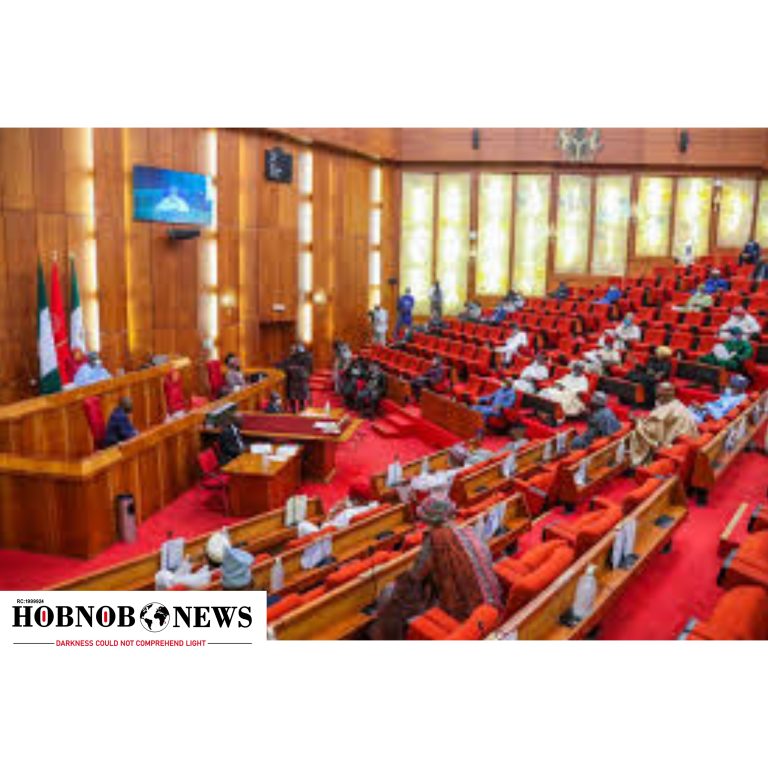"Senate Urges Federal Government to Fund Modern Ranches, Strengthen Security in Wake of Gombe Attacks"