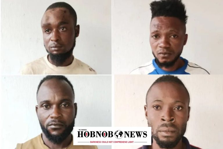Troops Arrest Ambazonia Rebels, Recover Stolen NNPCL Pipelines in Taraba