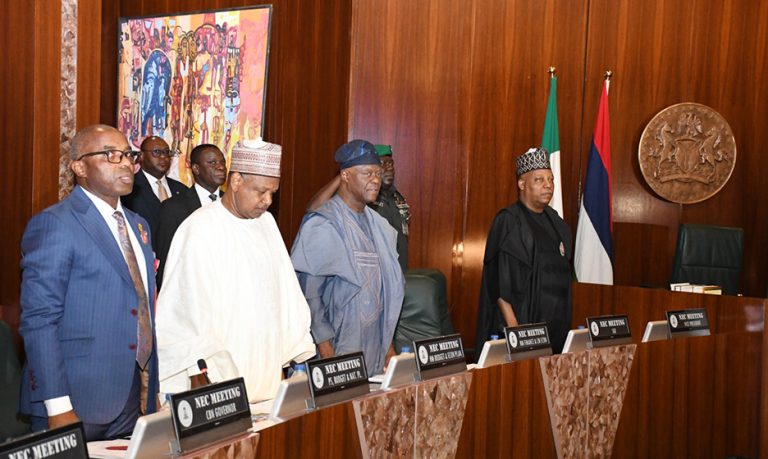 Shettima Leads Final NEC Meeting of 2024, Focuses on Key State and Fiscal Issues