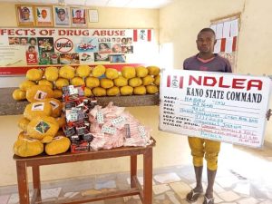 NDLEA Intercepts Cocaine, Skunk, Codeine in Midnight Raids Across Nigeria