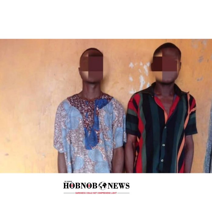 Man Arrested for Stealing and Slaughtering N200,000 Goat for Naming Ceremony in Ogun State