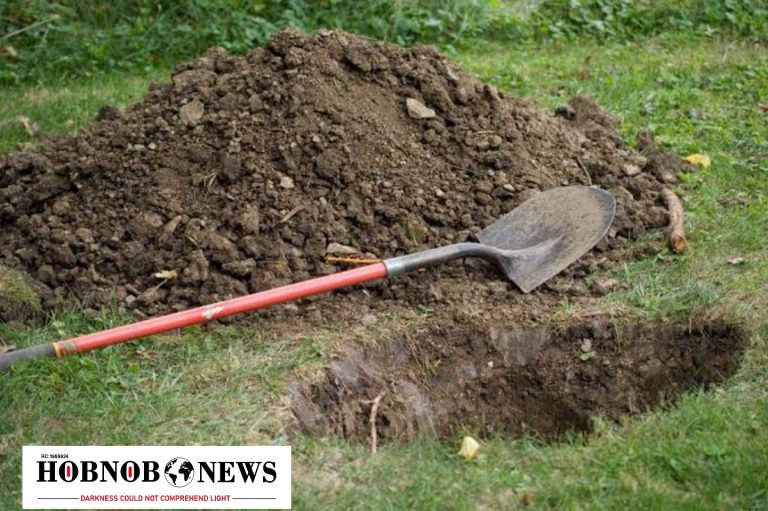 Brothers Arrested for Murdering Sibling and Burying Him in Shallow Grave in Anambra