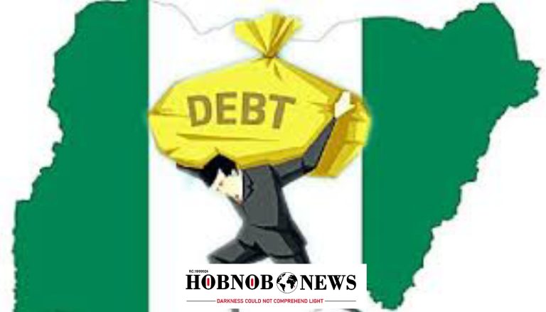 Nigeria’s Debt Per Citizen Rises to N624,527, Increases by 63% Under Tinubu