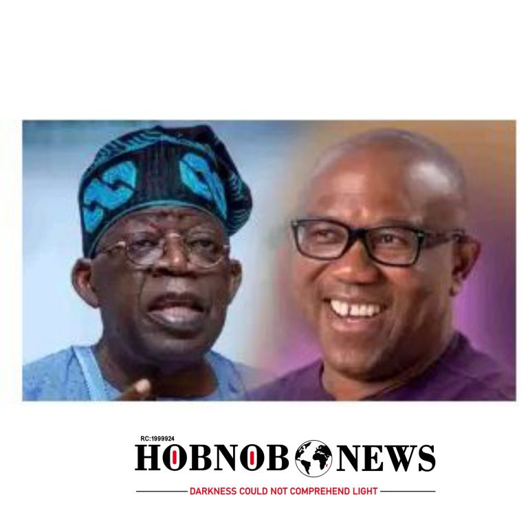 Fear of Tinubu: Aide Explains Why Dangote and Business Leaders Avoid Peter Obi Publicly