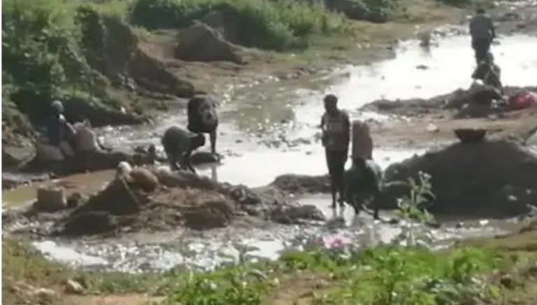 Niger Communities At Risk As Illegal Miners Continue To Operate With Impunity
