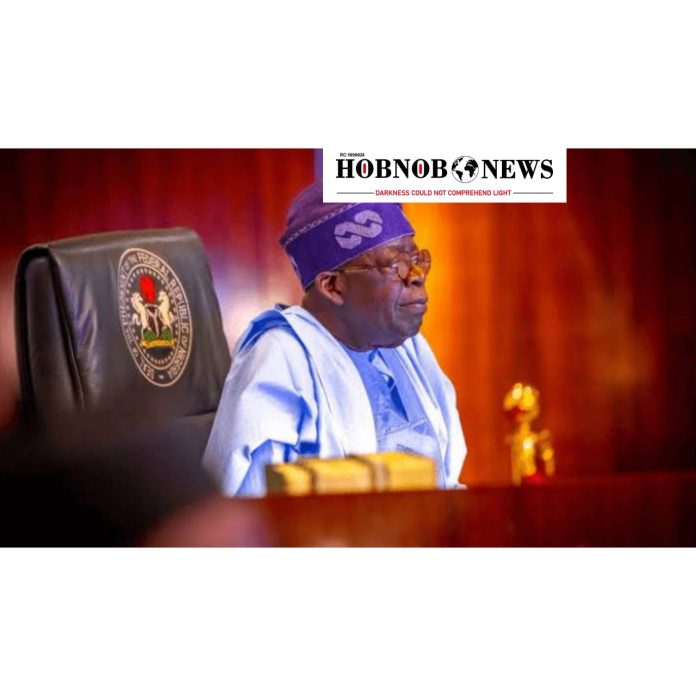 Full Text of President Tinubu's New Year Message to Nigerians