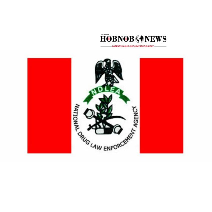 NDLEA Saves Businessman’s Life After Emergency Surgery to Remove 57 Cocaine Pellets