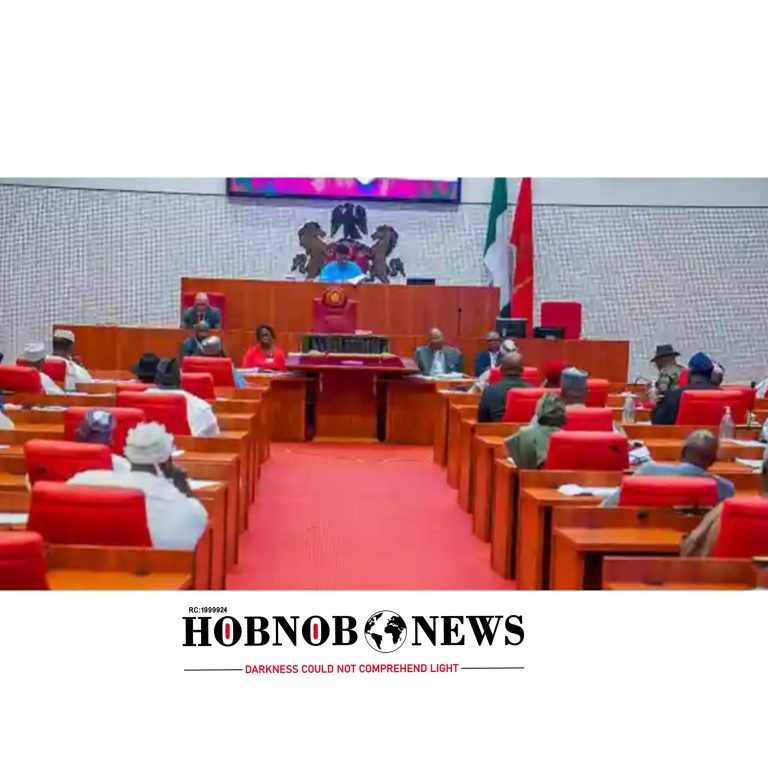 Senate Probes Allegations of Nigeria Funding Lakurawa Militia