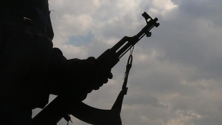 Armed Bandits Wreak Havoc in Kaduna State, Killing 11 and Kidnapping Several Others